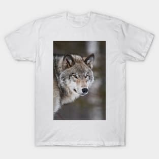 Grey Wolf T-Shirt
